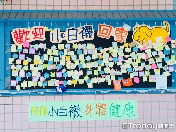 分别2周！「小白袜」踏入校门兴奋冲　师生挤满操场庆祝它重生