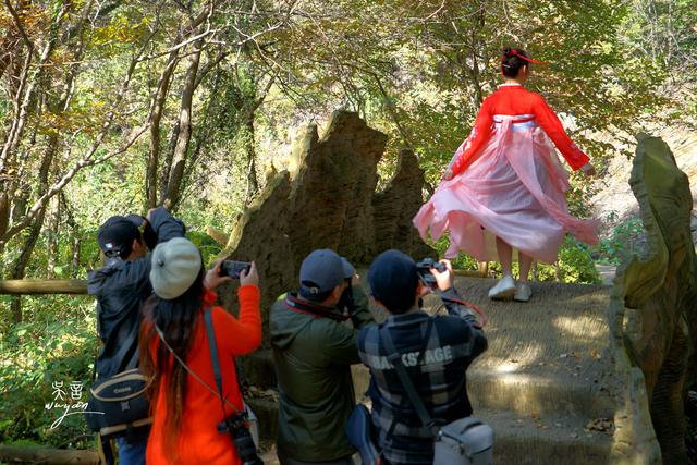 免门票畅游木兰云雾山，走进远古蛮荒世界，看美女与野兽共舞