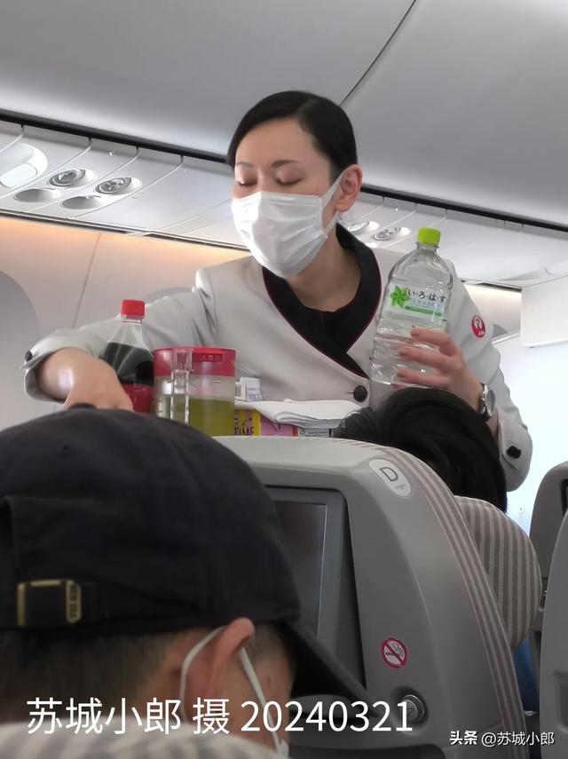 日本航空的美女空乘小姐姐：从上海虹桥机场坐日航