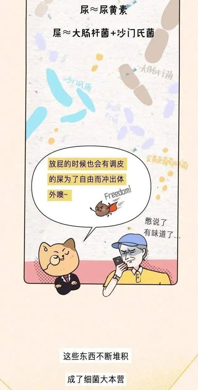 女生的内裤，为什么穿着穿着就“黄”了？漫画揭秘（男生勿入）