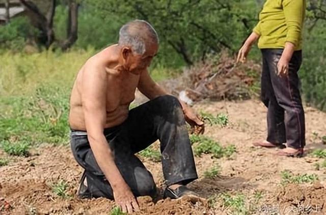 “她是兴奋死的!”近日，富婆与两名男子游戏中突然猝死