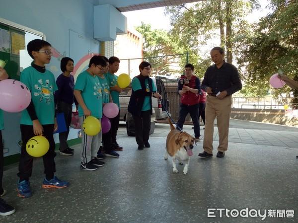 分别2周！「小白袜」踏入校门兴奋冲　师生挤满操场庆祝它重生