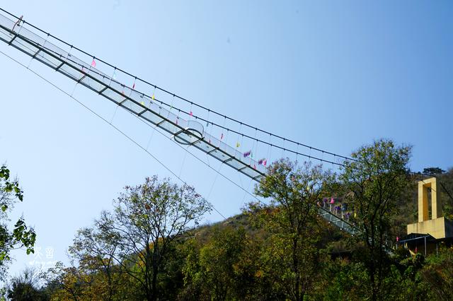 免门票畅游木兰云雾山，走进远古蛮荒世界，看美女与野兽共舞