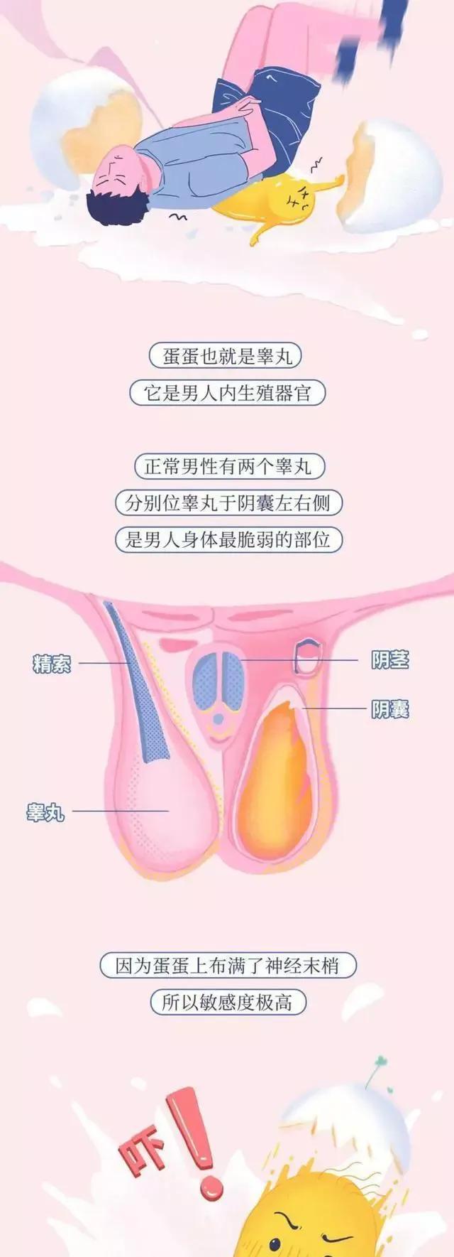 男生被踢裆，究竟有多疼？漫画揭晓