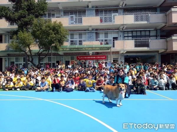 分别2周！「小白袜」踏入校门兴奋冲　师生挤满操场庆祝它重生