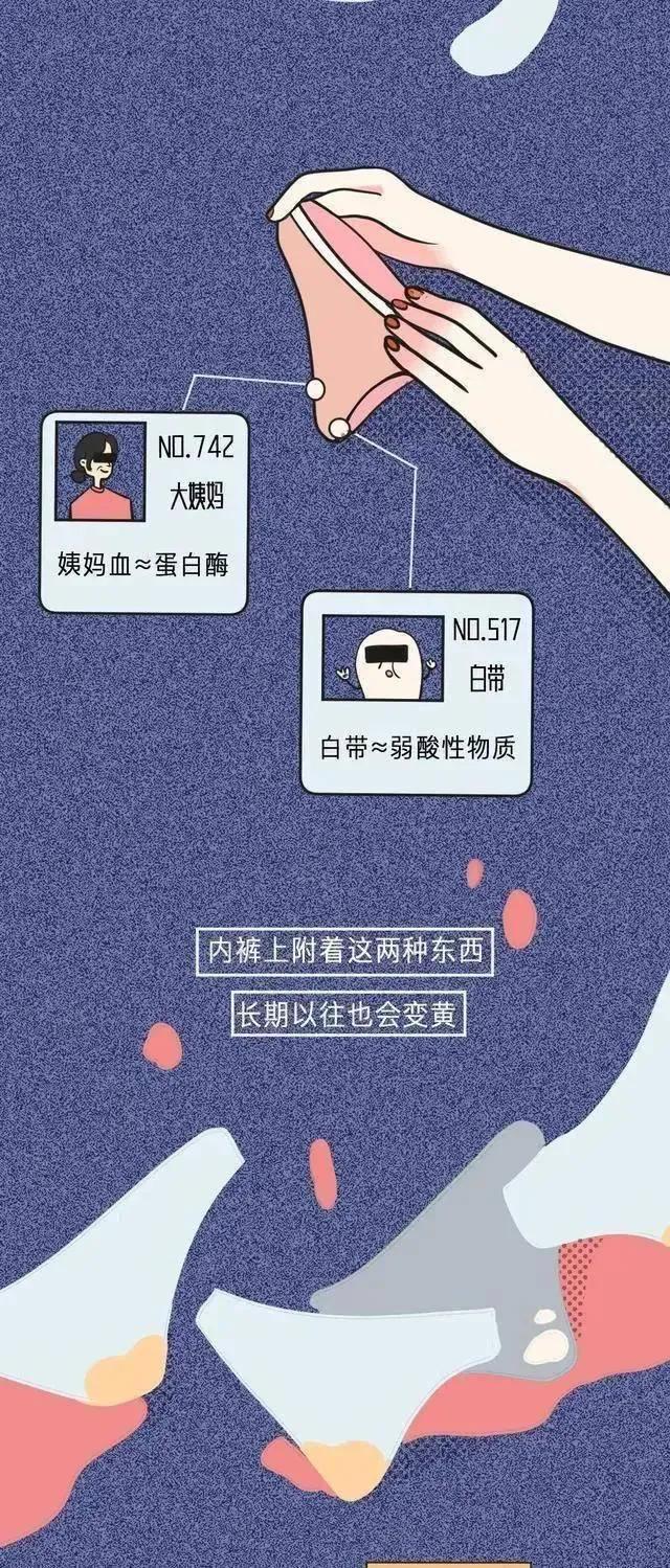 女生的内裤，为什么穿着穿着就“黄”了？漫画揭秘（男生勿入）