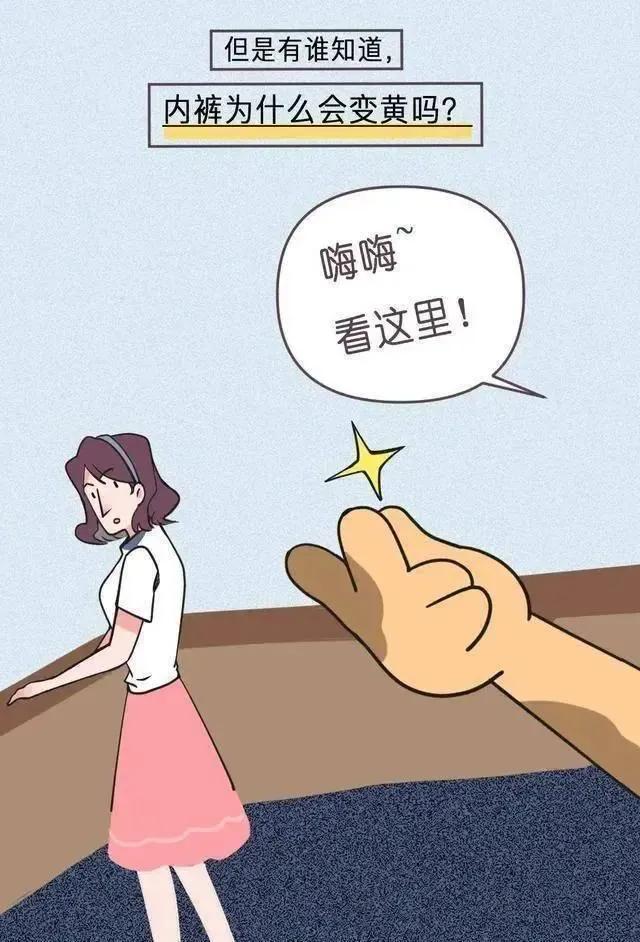 女生的内裤，为什么穿着穿着就“黄”了？漫画揭秘（男生勿入）