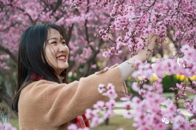 最美安丘四月天，一场旗袍美女与花海的邂逅让人大饱眼福、陶醉其中