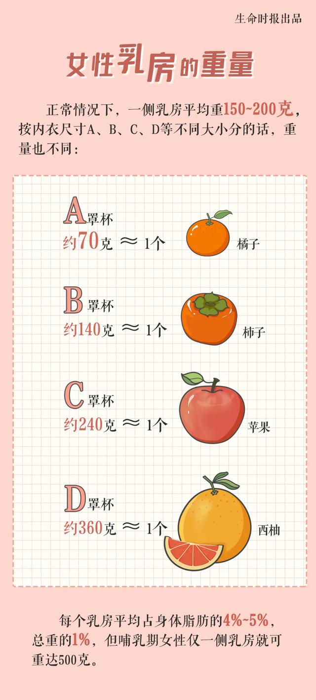 一个正经的问题：不同罩杯的「乳房」有多重？