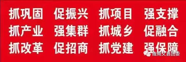 缅怀革命先烈 赓续红色血脉——文县各学校积极开展“清明祭英烈”活动（二）