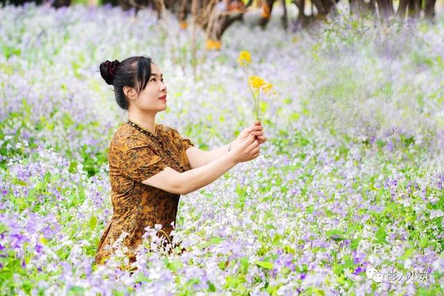 最美安丘四月天，一场旗袍美女与花海的邂逅让人大饱眼福、陶醉其中