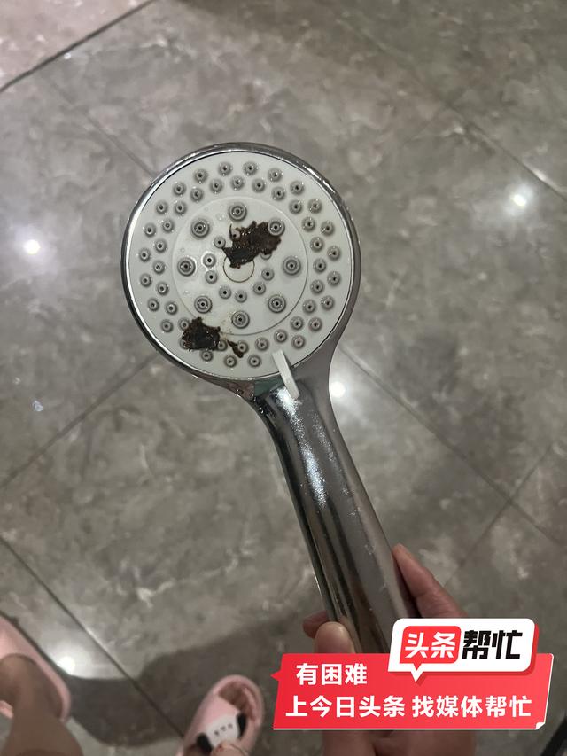 晨意帮忙丨女子称杭州一酒店花洒糊满大便，回应：她自导自演敲诈勒索10万