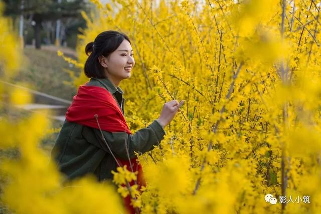 最美安丘四月天，一场旗袍美女与花海的邂逅让人大饱眼福、陶醉其中