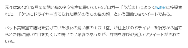 4月番颜艺萌娘凯露，喜获新外号，你知道屁股吹风机猫的出处吗？