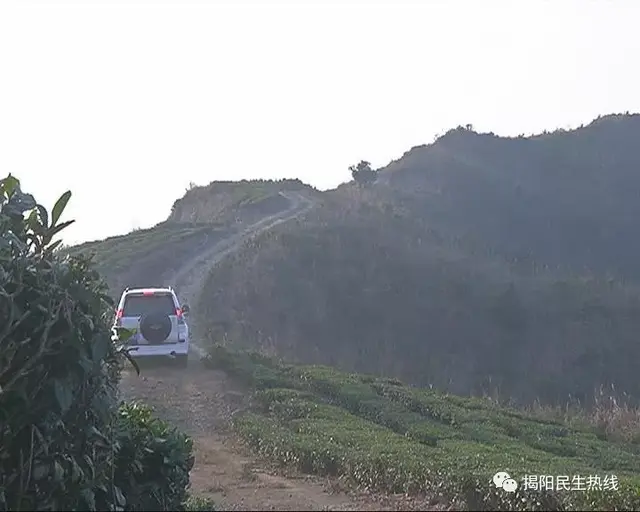 点赞！潮汕90后美女姐妹花，天天坚持爬山直播功夫茶