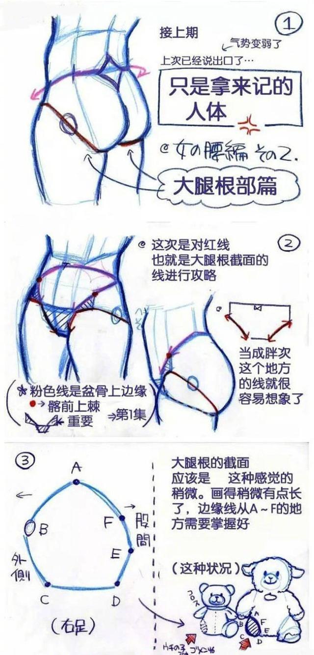 「推荐」人物臀部怎么画？教你如何轻松绘画出女生的臀部