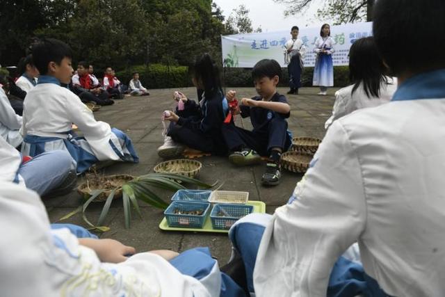 山林里采草药……中外青少年一起感受中医药文化魅力