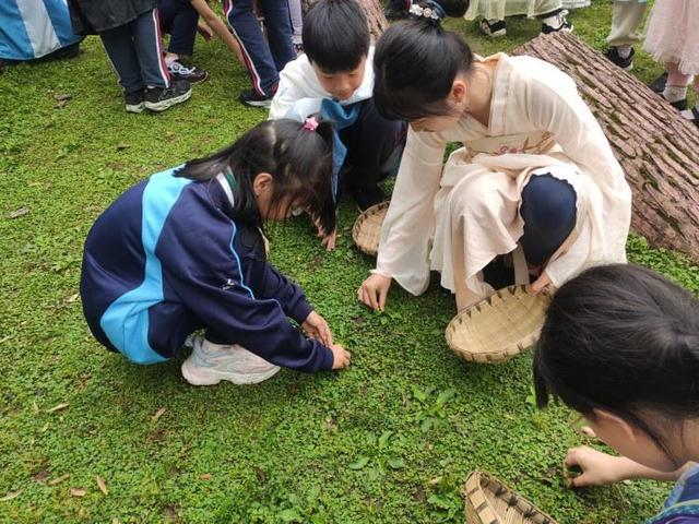 山林里采草药……中外青少年一起感受中医药文化魅力