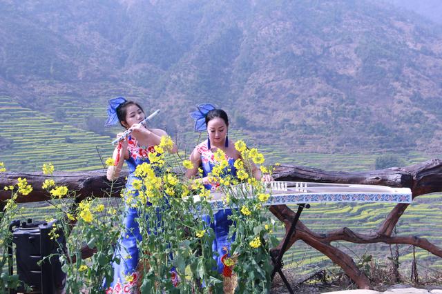 中国最美油菜花梯田，美女肆意徜徉花海，从玻璃桥上俯瞰惊险刺激