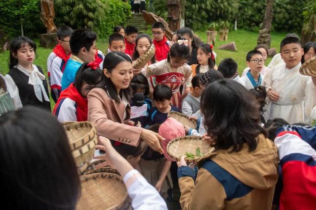 山林里采草药……中外青少年一起感受中医药文化魅力