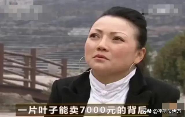 贵州美女卖树叶13年，靠央视走红，一片7千，如今成人生赢家