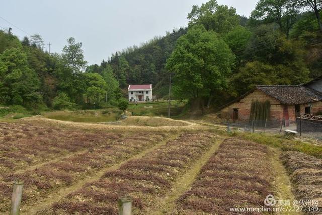 走进茶陵境内“攸县村”，一个纯攸县话的村民组