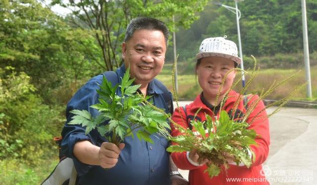 走进茶陵境内“攸县村”，一个纯攸县话的村民组