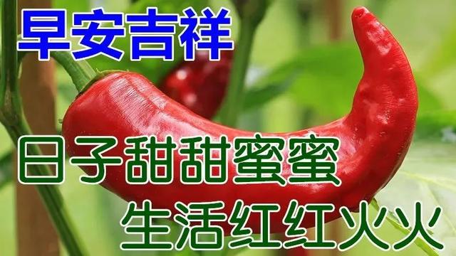 微信最新版早上好动图美女图，早晨好漂亮动态图表情