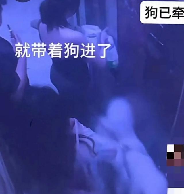 闹大了！漂亮女子被扒衣露胸后续：被判为互殴，吞药自杀遗书曝光