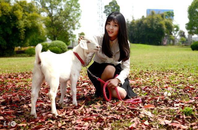 小说：大款调戏小伙同学，得知了小伙的真实身份，吓得跪地割大腿