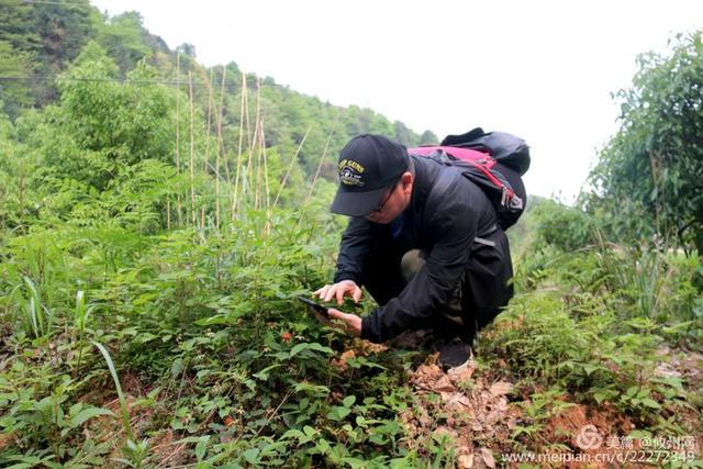 走进茶陵境内“攸县村”，一个纯攸县话的村民组