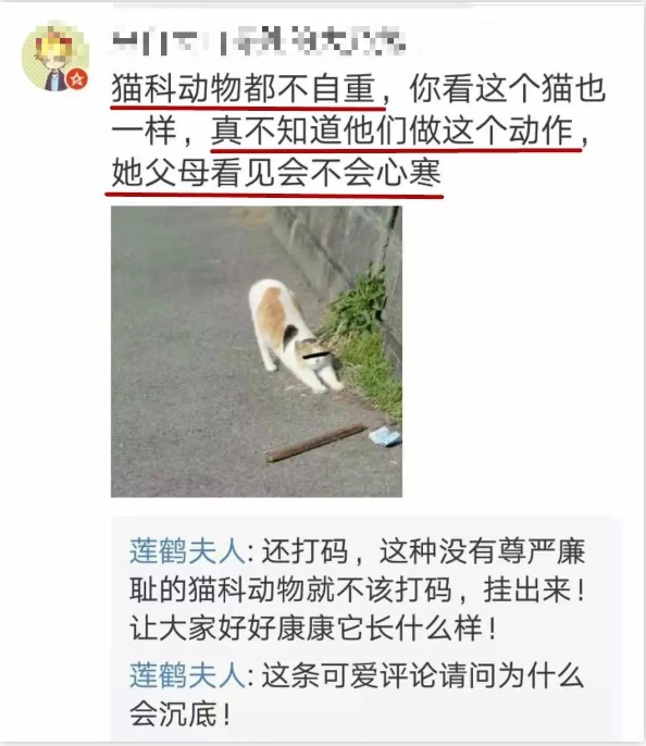 女生在超市撅屁股，引发女权讽刺，惨被原作者和网友疯狂打脸