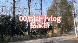 岳家桥镇最美的美女(00后回村vlog：80岁奶奶养的鸡)