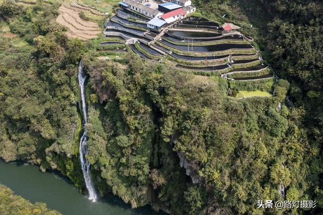 贵州70后大姐隐居深山10年，靠养鱼为生年入100万，赛过活神仙