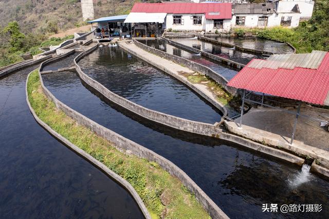 贵州70后大姐隐居深山10年，靠养鱼为生年入100万，赛过活神仙