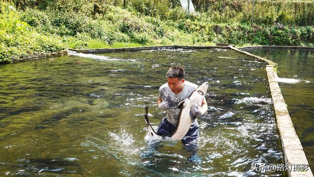 贵州70后大姐隐居深山10年，靠养鱼为生年入100万，赛过活神仙