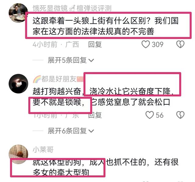 突然发狂！湖南常宁杜宾犬咬穿小女孩腿骨，狗主人跪地求饶！