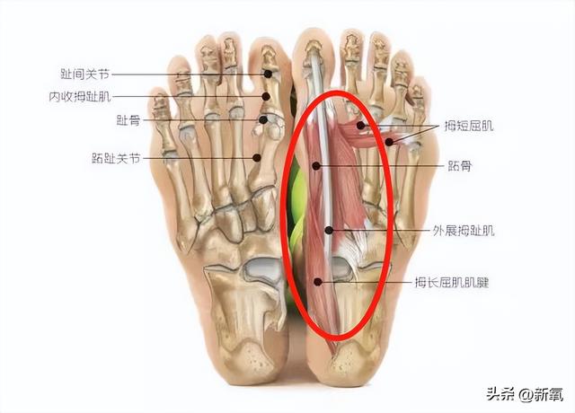 脚趾头竟登上热搜！女星的脚指头，有什么可被审判的？