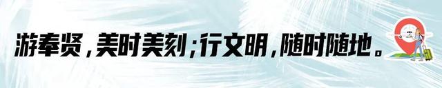 直击现场！干塘节挖藕摸鱼、萌娃拍照，来看看泥塘里打滚的小朋友们都怎么说