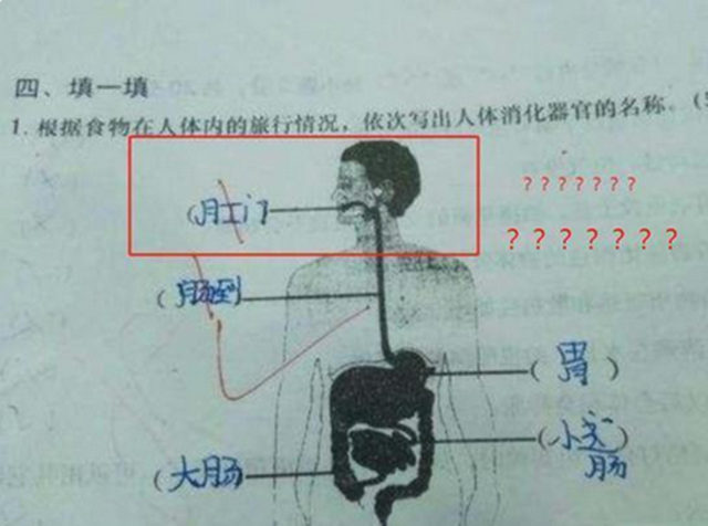 女教师穿人体器官服上课，学生低头不敢看，生理课可以这么学？