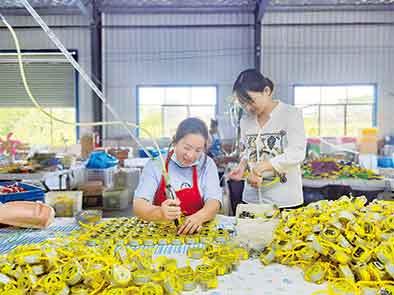 木兰之乡盛产“花木兰”，她们的作品被当作国礼