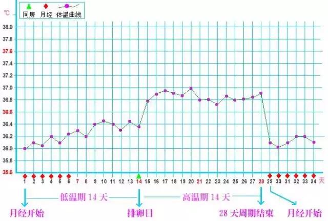 备孕｜啪啪啪也要选时间？看看专家怎么说