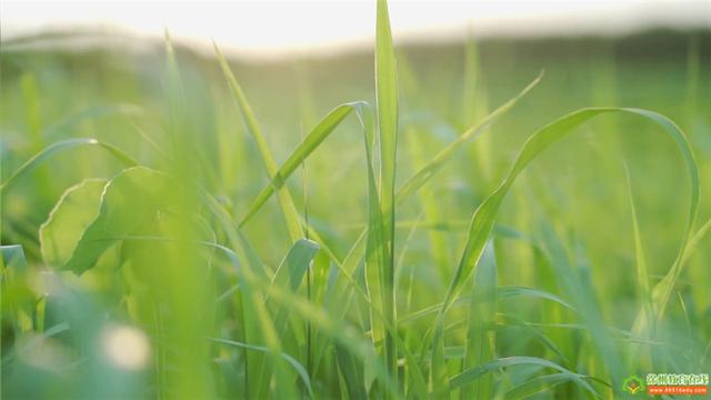 「沛县实验学校」名师风采——刘艳