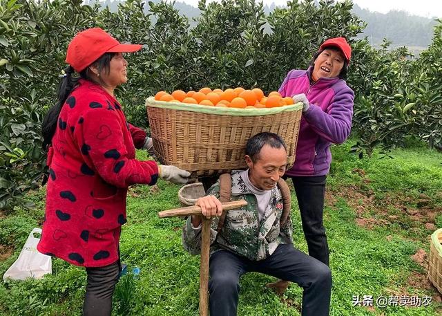 乌克兰美女直呼好吃！一口就上头，滋润冬季干燥一级好手