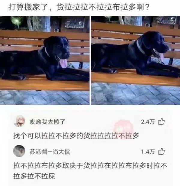 开心一下，女护士插了我五针，自己却哭了 搞笑 沙雕