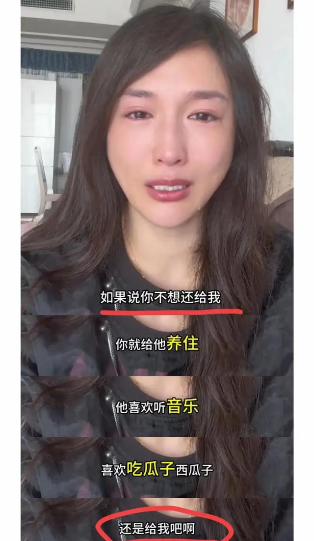 河南美女鹦鹉走丢，情绪崩溃！网友评论爆笑连连！