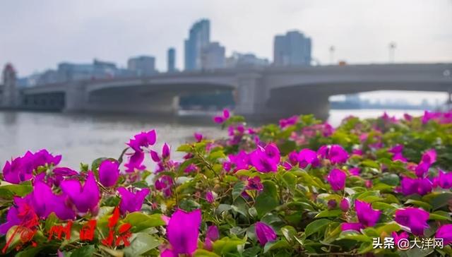 广州最美校花，惊艳全城