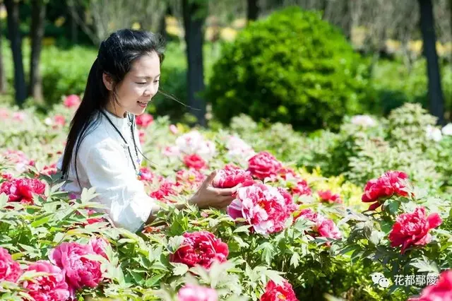 许昌：鄢陵这俩美女在花博园火了！谁认识？