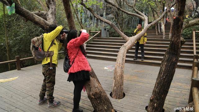 天目湖.白茶季：茶圣陆羽秀撩妹技能！围观童颜肤白貌美仙女团