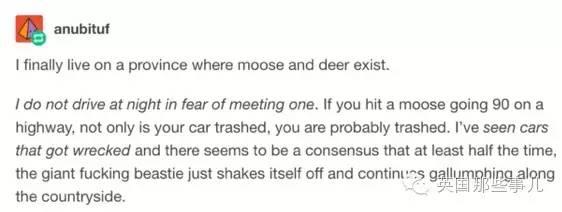 让加拿大人胆寒的巨兽Moose...你们感受下这股气场...